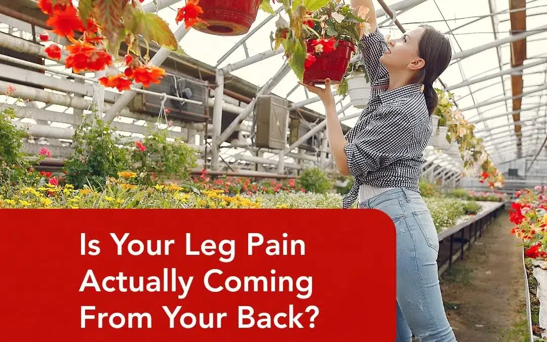 leg pain in washington dc